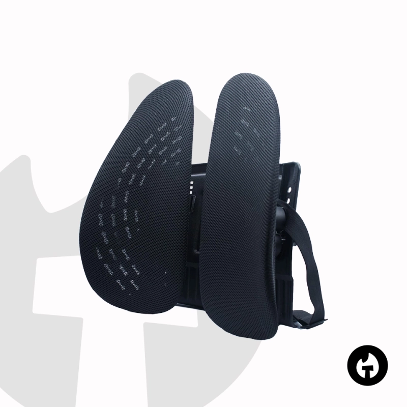 Ergonomic Back Support