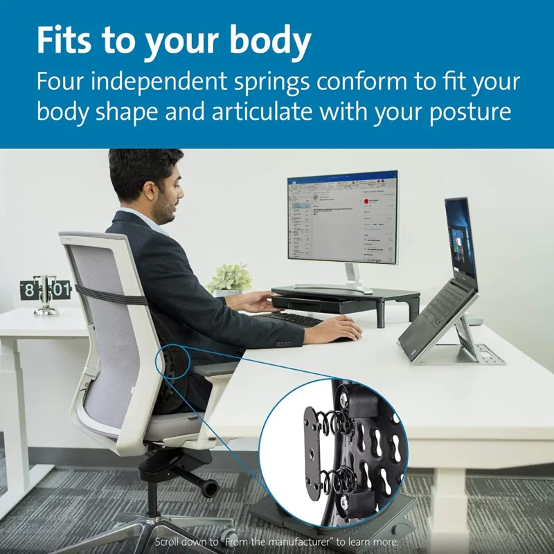 Ergonomic Back Support