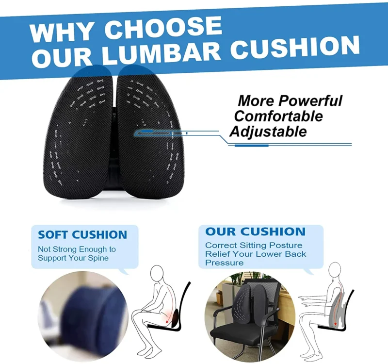 Ergonomic Back Support