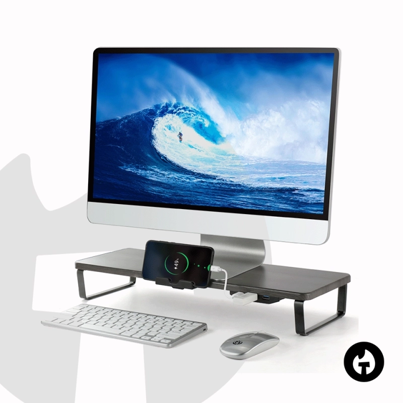 Monitor Riser With Mobile Stand and USB hub